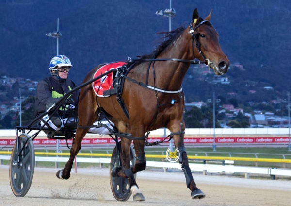 paradise-awaits-allan-and-his-girl-ahead-of-breeders-crown