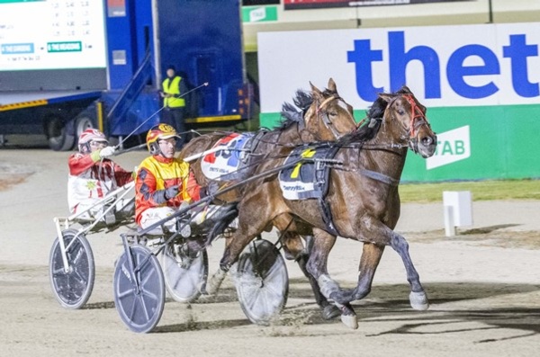 keayang-ignite-fires-up-to-take-home-swan-hill-trotters-cup