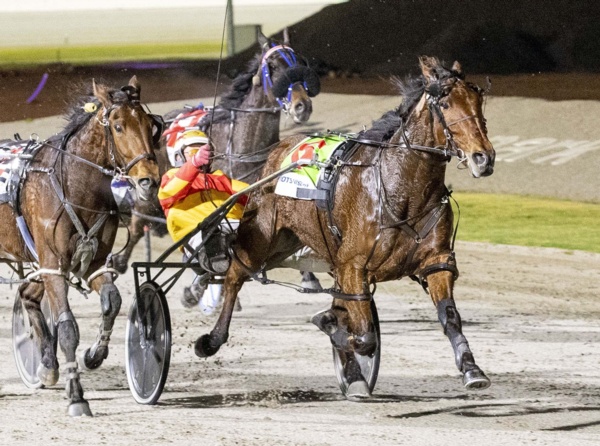 crunching-the-numbers-for-the-features-at-yarra-valley