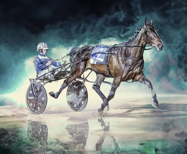 can-this-freakish-filly-continue-along-a-path-to-greatness