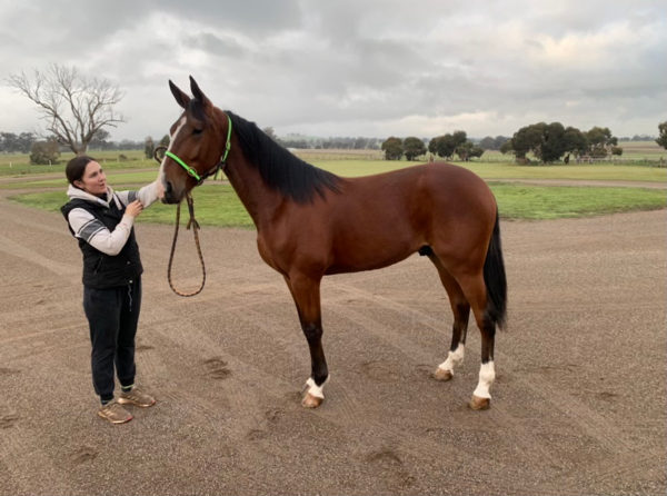 hargreaves-ready-to-debut-alpha-tori-on-the-big-stage