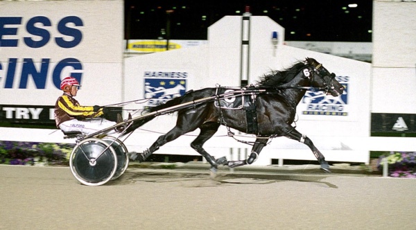 former-champion-trotter-noopy-kiosk-dies-aged-31