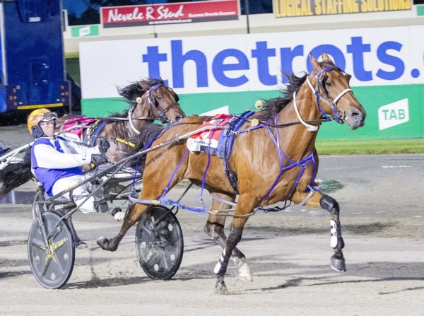 jack-optimistic-echuca-cup-hope-can-kick-off-2024-with-a-bang