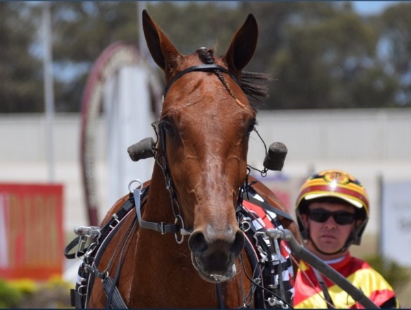 debutants-steal-the-show-at-maryborough-on-humbeltonian-day
