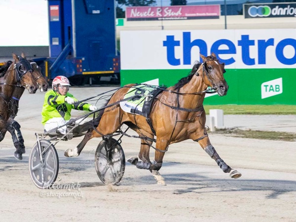 star-pacer-amore-vita-suffers-tragic-heart-attack-in-training