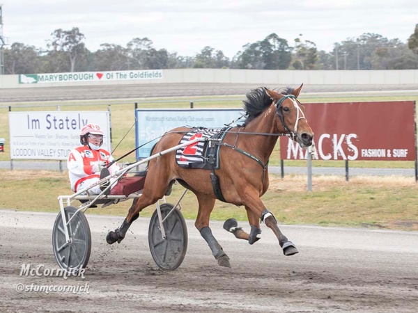 inter-dominion-flavour-to-feature-on-bendigo-cup-night