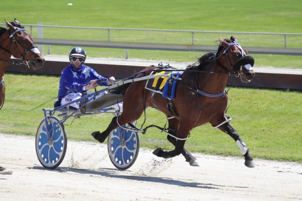 akuta-and-dreamings-vic-trip-delay-confirms-ballarat-cup-debut