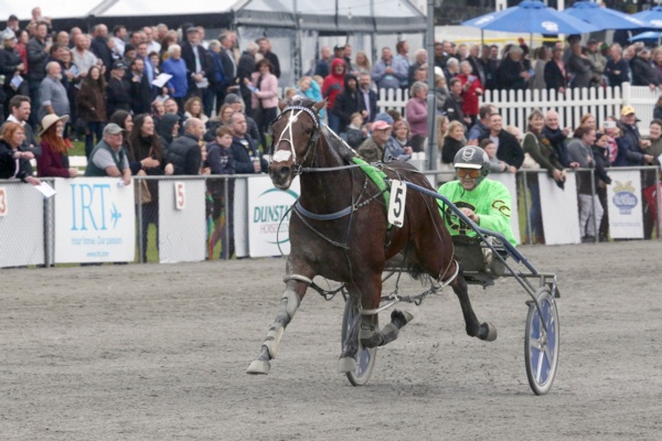 akuta-test-may-well-decide-three-year-olds-nz-cup-hopes