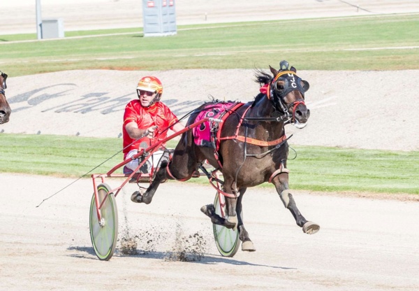 fides-fit-and-ready-ahead-of-hamilton-cup-assignment