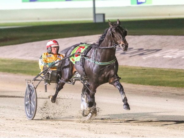 vicbred-pure-primed-for-lift-off-this-thursday-in-bendigo