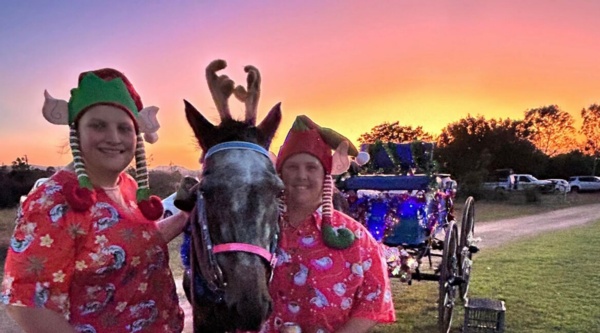 taz-the-standardbred-spreading-christmas-cheer