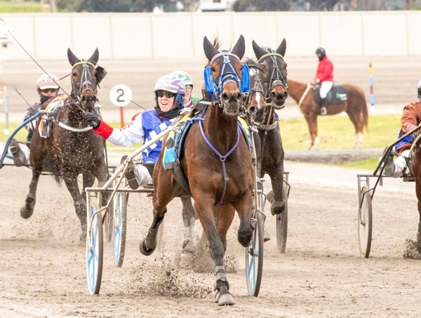 reigning-victorian-horse-of-the-year-retired-through-injury