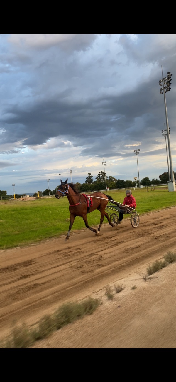 marshall-and-bach-ready-to-orchestrate-the-perfect-symphony-at-cranbourne