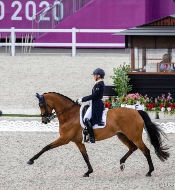 hannas-journey-from-olympian-to-harness-racing-success