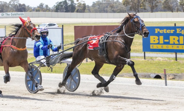 plymouth-chubb-faces-a-new-setback-on-an-old-injury