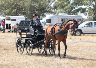 831FFA27-1D6D-469E-A2F26FEB67EEFD7A.jpg