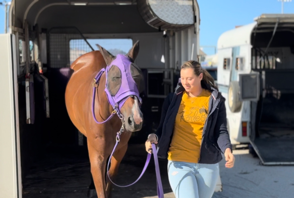 watch-rorys-star-on-the-rise-in-harness-racing