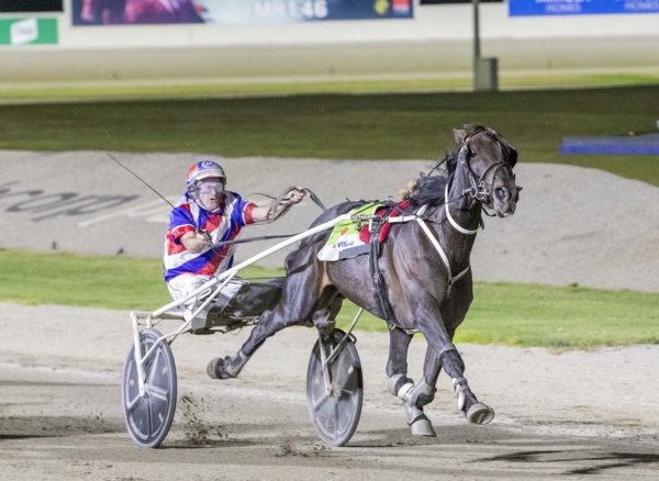 tipsy-to-chase-group-1-glory-before-the-sun-sets-on-her-racing-career