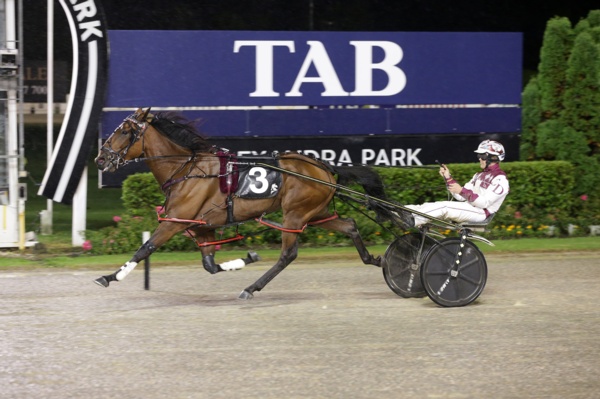 all-you-need-is-me-ready-to-make-a-statement-in-the-nz-oaks