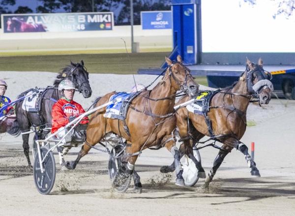 veteran-pacer-triple-eight-salutes-to-beat-the-favourite