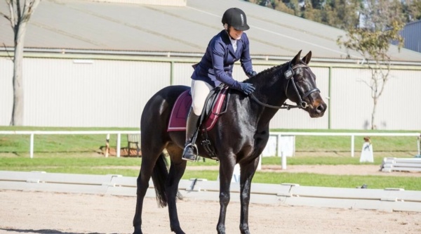 standardbred-success-without-a-shadow-of-a-doubt