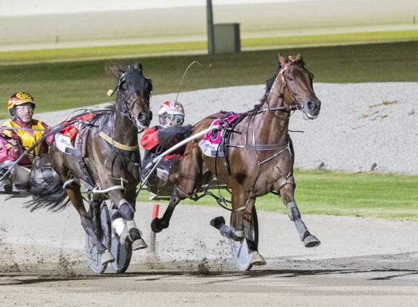 marshall-and-bach-ready-to-bring-the-sizzle-to-queensland