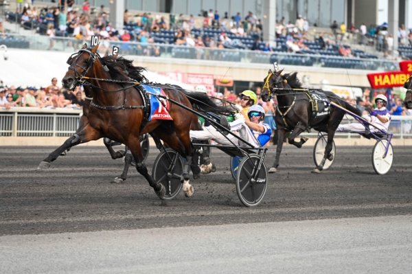 alabar-and-nevele-r-reveal-us-trotter-of-the-year-as-new-stallion-addition