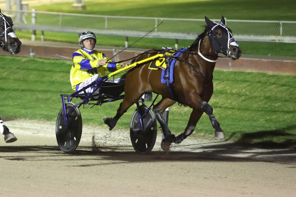 kiwi-national-bet-n-win-could-take-australia-by-storm