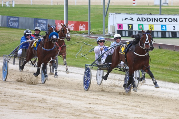 enticing-barrier-draw-sets-up-mouthwatering-battle-at-alexandra-park