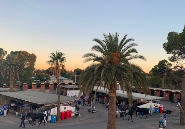 the-countdown-to-mildura-cup-week-is-on-in-earnest
