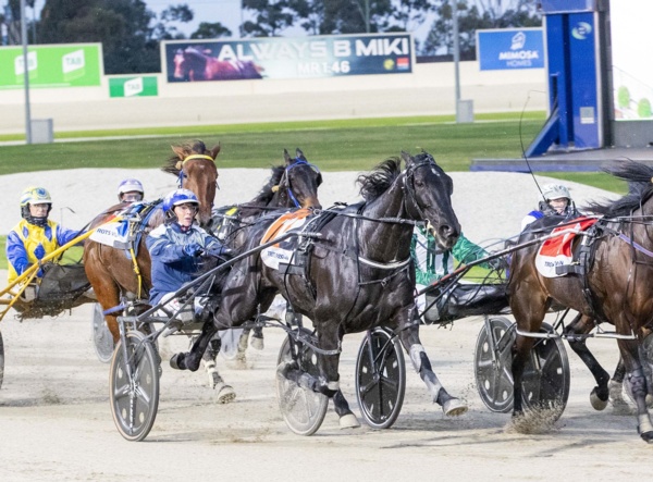 manning-lights-up-melton-with-a-golden-performance