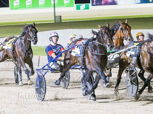 the-heat-gets-turned-up-ahead-of-the-race-by-grins-in-nz