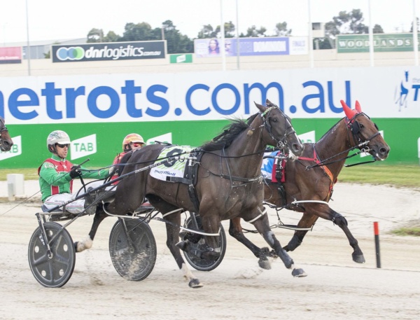 the-draw-favours-the-aussies-heading-into-alexandra-park