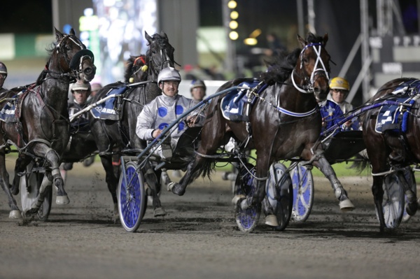 magic-merlin-wins-kiwi-hearts-in-a-race-to-remember