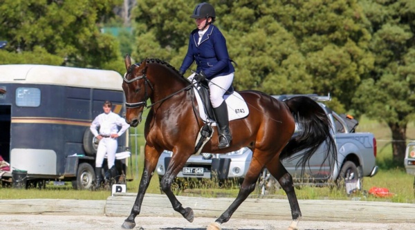 xena-the-standardbreds-journey-from-warrior-princess-to-queen