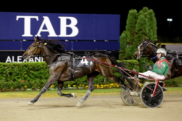 hes-just-incredible-harry-powers-to-national-trot-glory