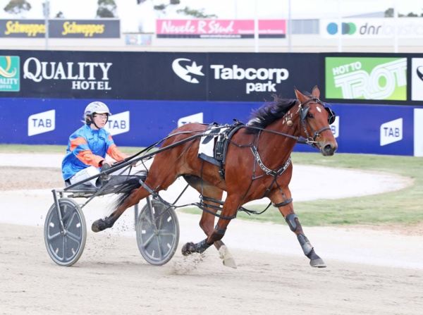 no-shadow-cast-on-dianes-lifelong-love-of-standardbreds