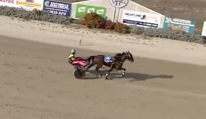 maoris-booming-shepparton-win-a-big-result-for-tab-punter