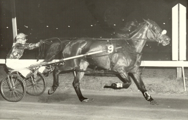 vale-brian-powell