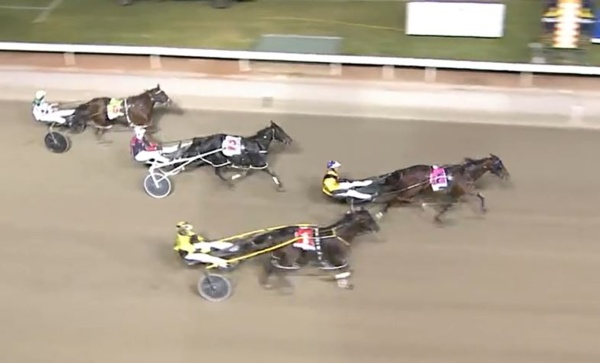 punter-thanks-lucky-stars-after-tiger-roars-home-from-the-tail