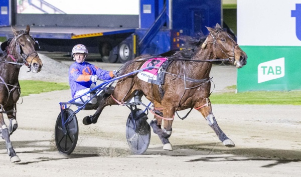 stanley-excited-for-whats-ahead-with-really-progressive-bushranger