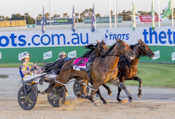 tab-secures-frankie-for-worlds-richest-harness-race
