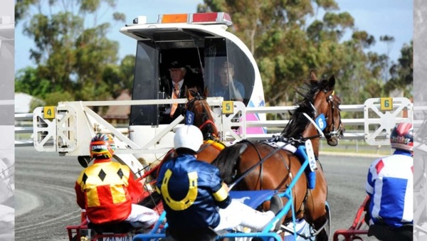big-day-planned-for-harness-industry-participants-at-horsham