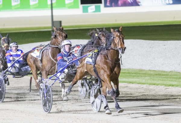 antons-iron-horse-shows-his-love-for-melton-once-again