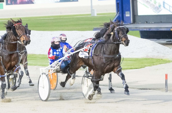 tango-dances-his-way-onto-italian-cup-honour-roll