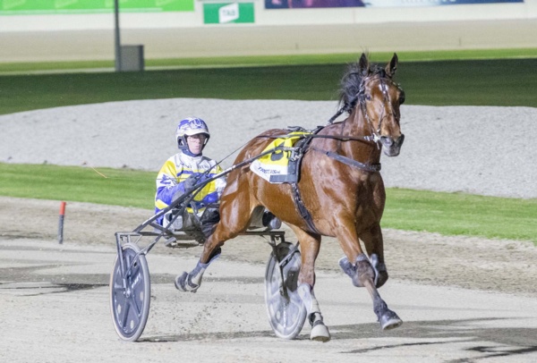 top-trotter-flexes-his-muscle-in-powerful-first-up-win