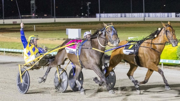 melton-hitout-for-mufasa-metro-before-queensland-carnival-raid