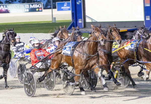 veteran-pacer-produces-another-special-sprint-to-win-10th-race-at-hq