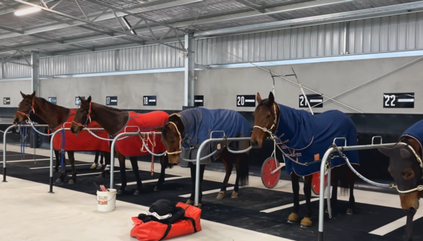 kilmores-state-of-the-art-stable-facility-opens-its-doors