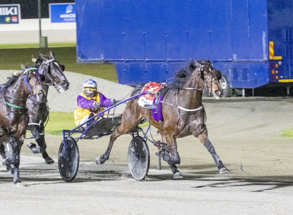 cashman-hoping-a-bali-glow-can-reap-super-success